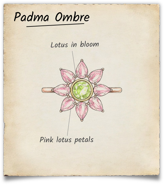Description Image