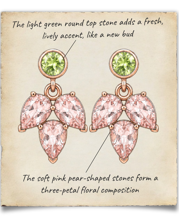 Description Image